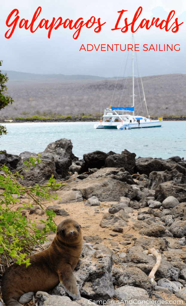 Galapagos Islands Cruise: Sea Lion & Yacht