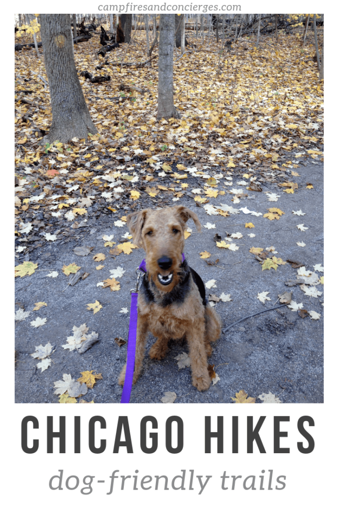 dog-friendly hiking near Chicago