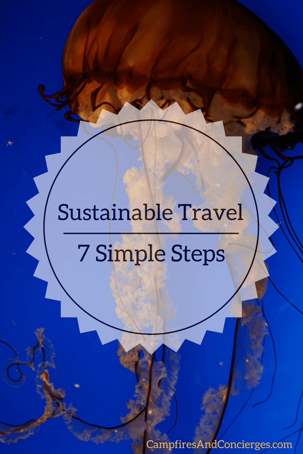Responsible Tourism - jellyfish photo