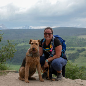airedale terrier colorado