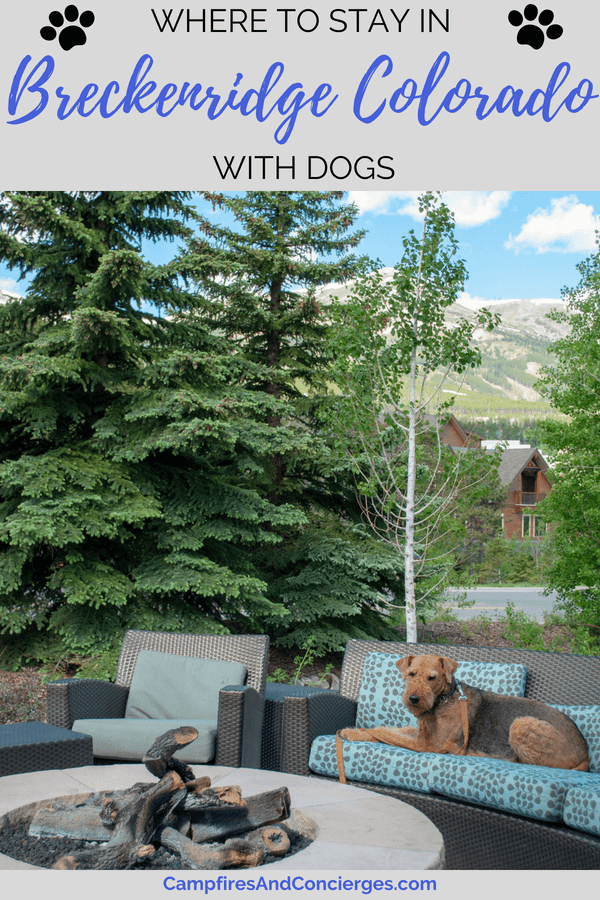 Breckenridge with dogs