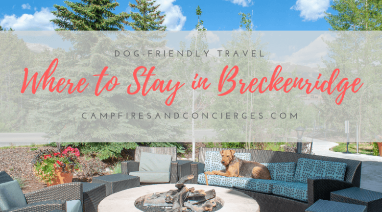 Where to Stay in Breckenridge with Dogs Where to Stay in Breckenridge with Dogs