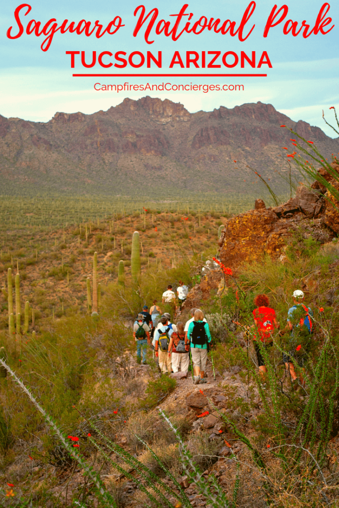 Hiking Trail in Saguaro National Park near Tucson Arizona