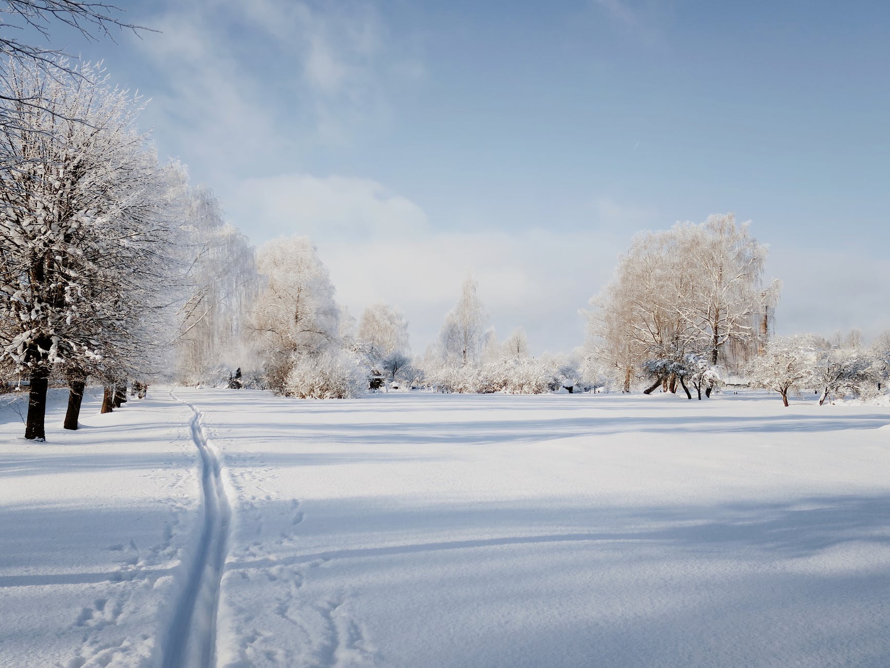 ski tracks on snow on sunny winter day (photo by Ivars on Pexels.com)
